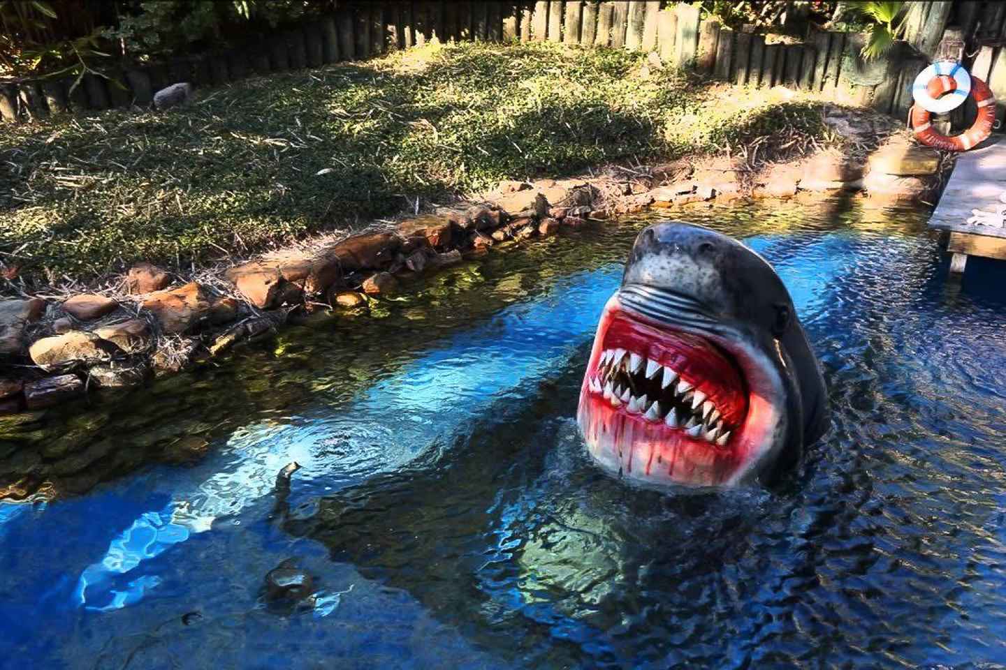 Houston Tour and Aquarium Ticket thumbnail